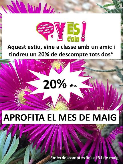 In May make the most of special promotions offered by the Yes! Language School