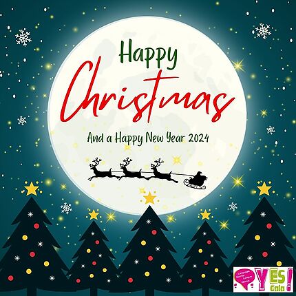 MERRY CHRISTMAS AND HAPPY NEW YEAR 2024
