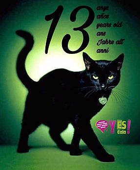 Yes! Language school celebrates 13 years in L’Escala